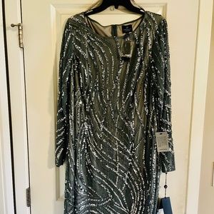 Adrianna Papell Plus Dress